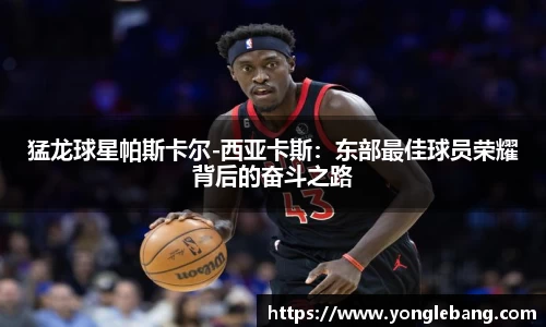 星空·综合体育