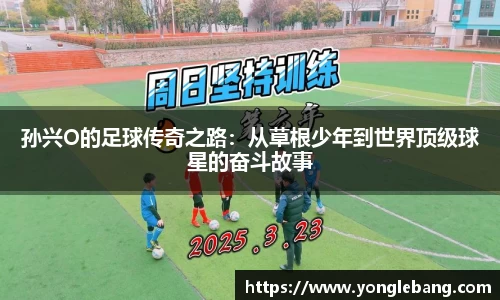 星空·综合体育官方网站