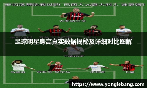 星空·综合体育官方网站